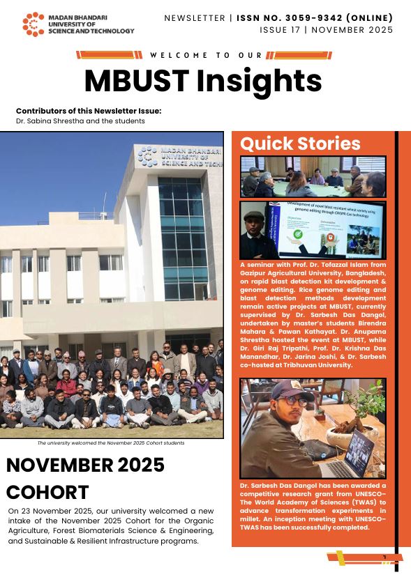 November 2025 Issue 17