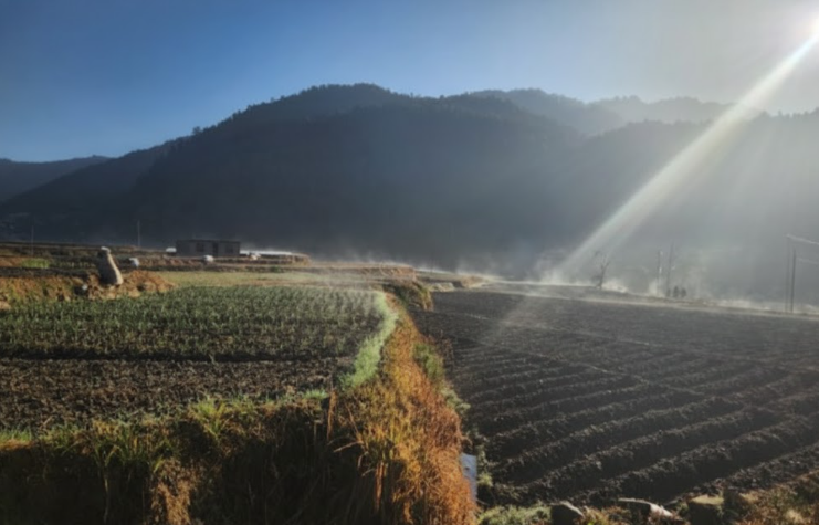 Walking Through the Fields