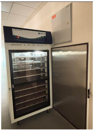 Dr. Sarbesh Das Dangol