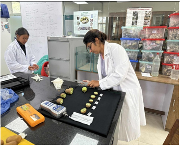 Dr. Sarbesh Das Dangol