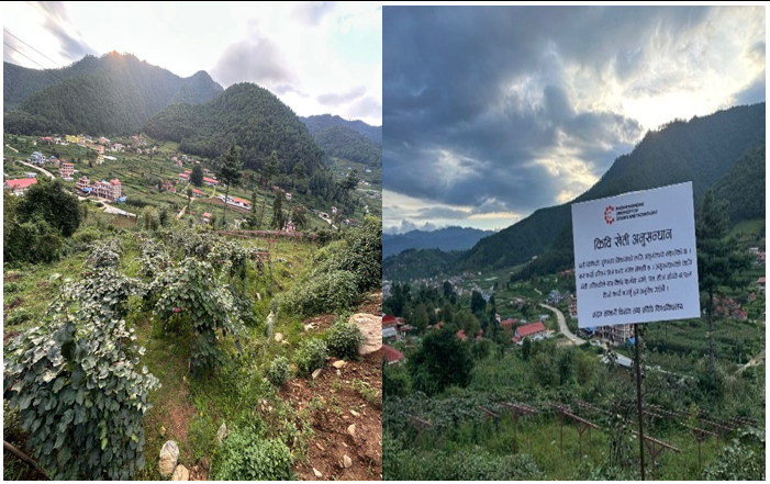 Dr. Sarbesh Das Dangol