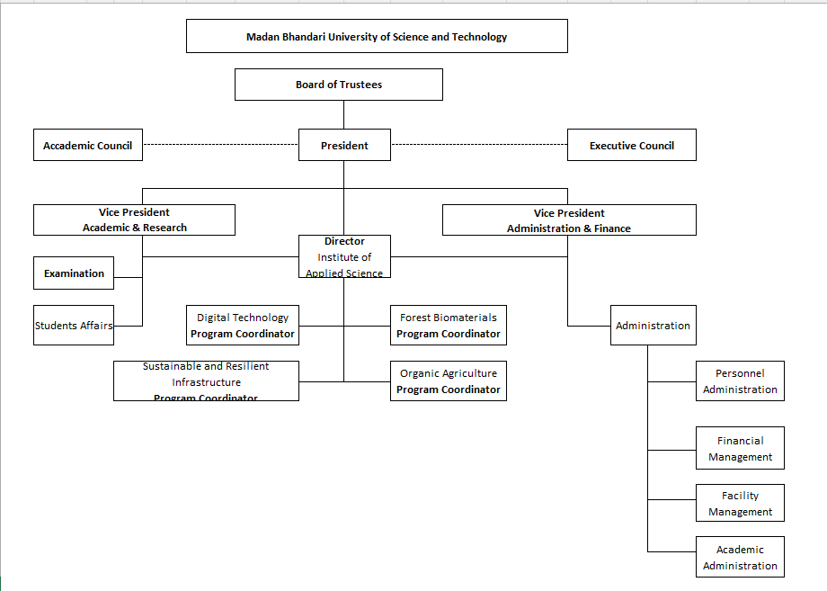 Organizational Structure